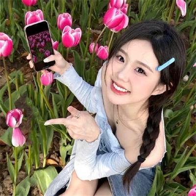 反贪风暴